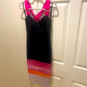 Ted Baker London Navy Blue with Pink highlights Midi Dress